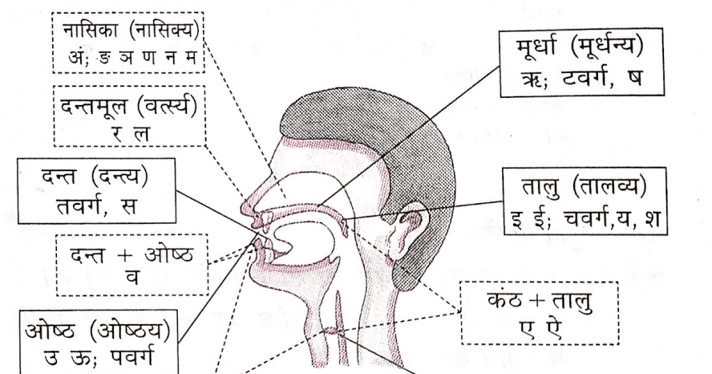 हिंदी वर्णमाला- स्वर और व्यंजन | Hindi Alphabet