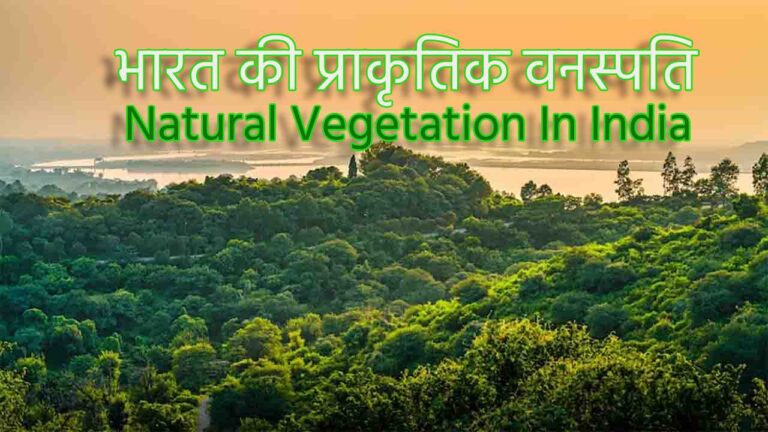 प्राकृतिक वनस्पति