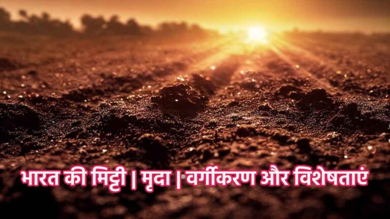 भारत की मिट्टी