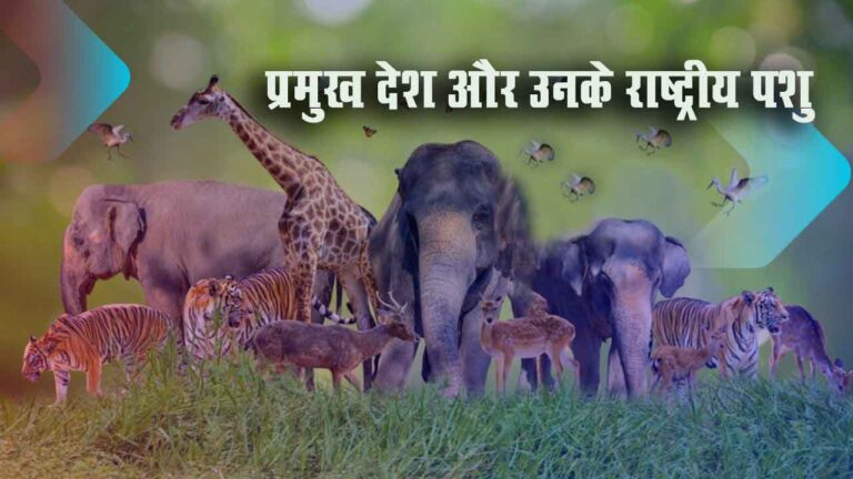 प्रमुख देश और उनके राष्ट्रीय पशु