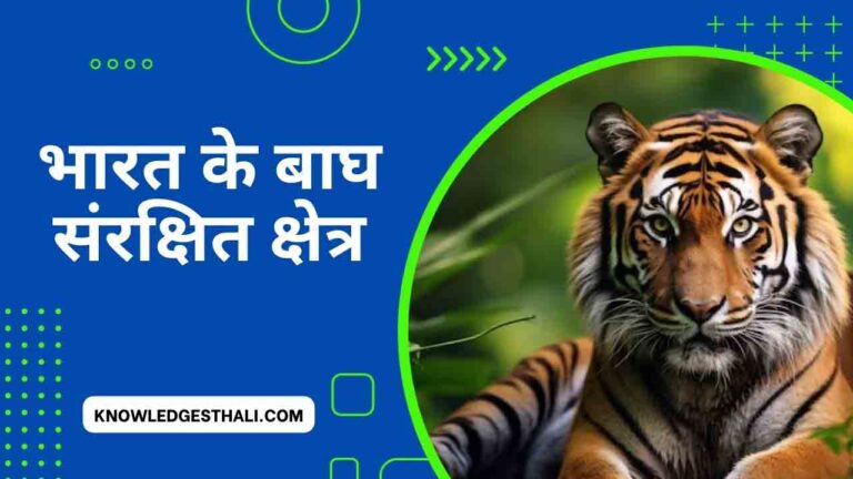 बाघ अभयारण्य