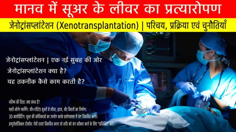 जेनोट्रांसप्लांटेशन (Xenotransplantation)