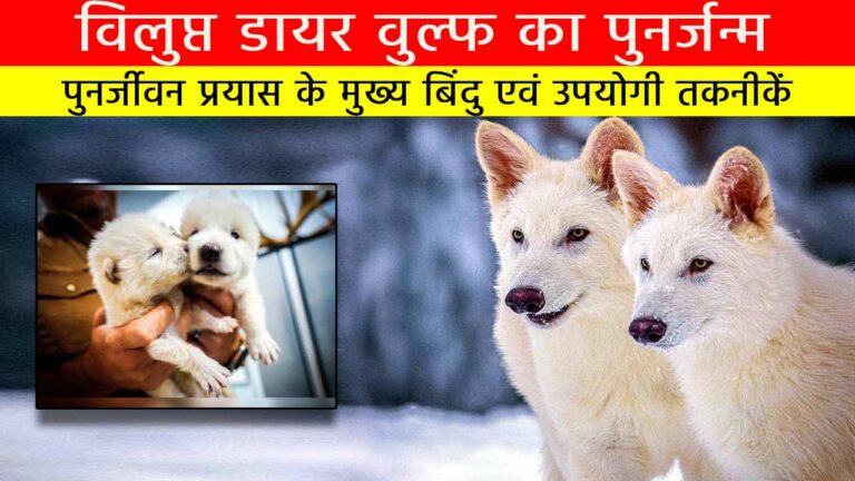 विलुप्त डायर वुल्फ का पुनर्जन्म