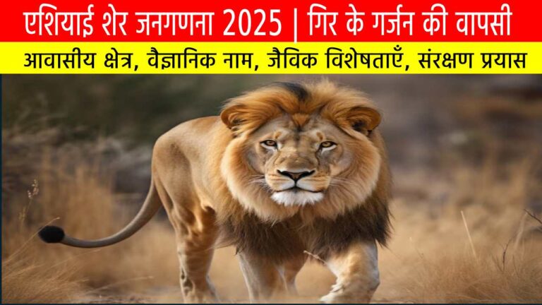 एशियाई शेर जनगणना 2025