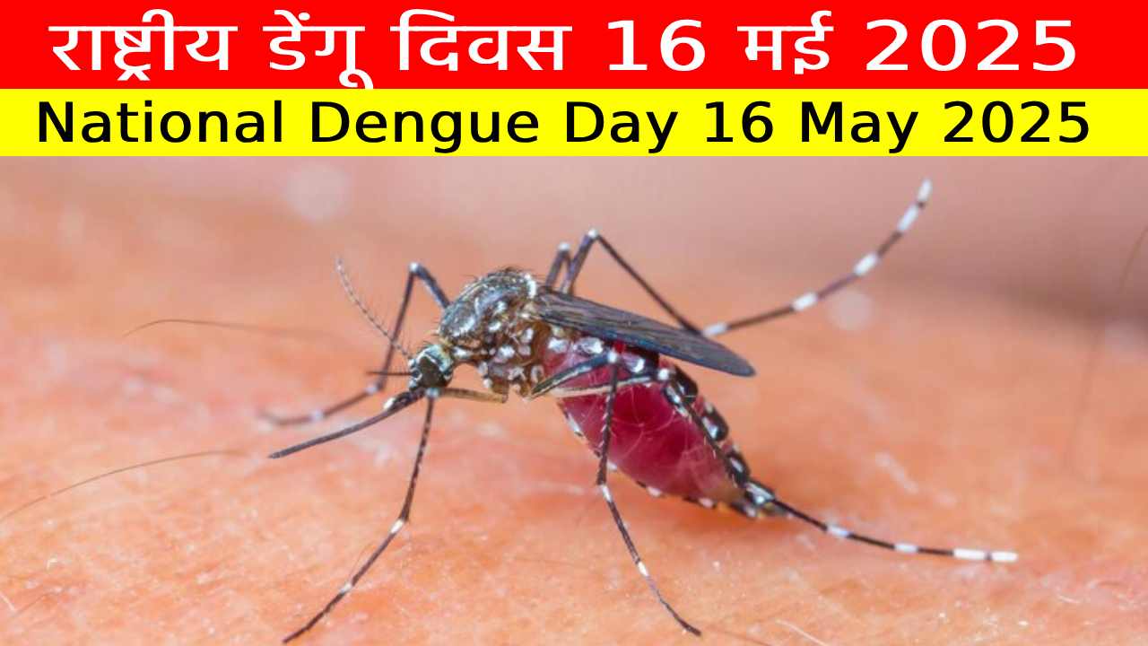 राष्ट्रीय डेंगू दिवस 16 मई 2025