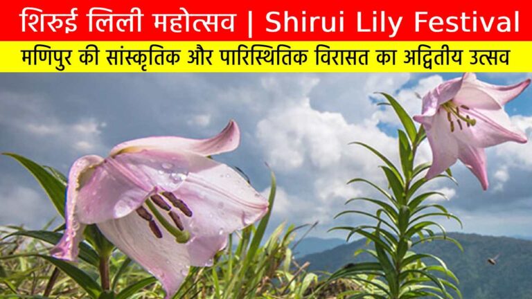 शिरुई लिली महोत्सव