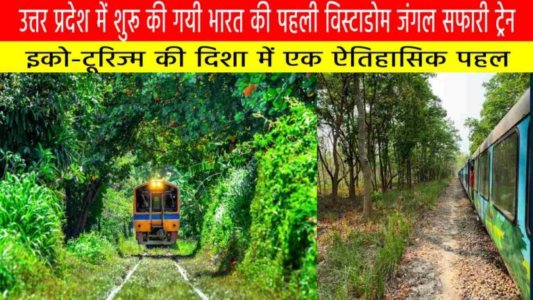 विस्टाडोम जंगल सफारी ट्रेन