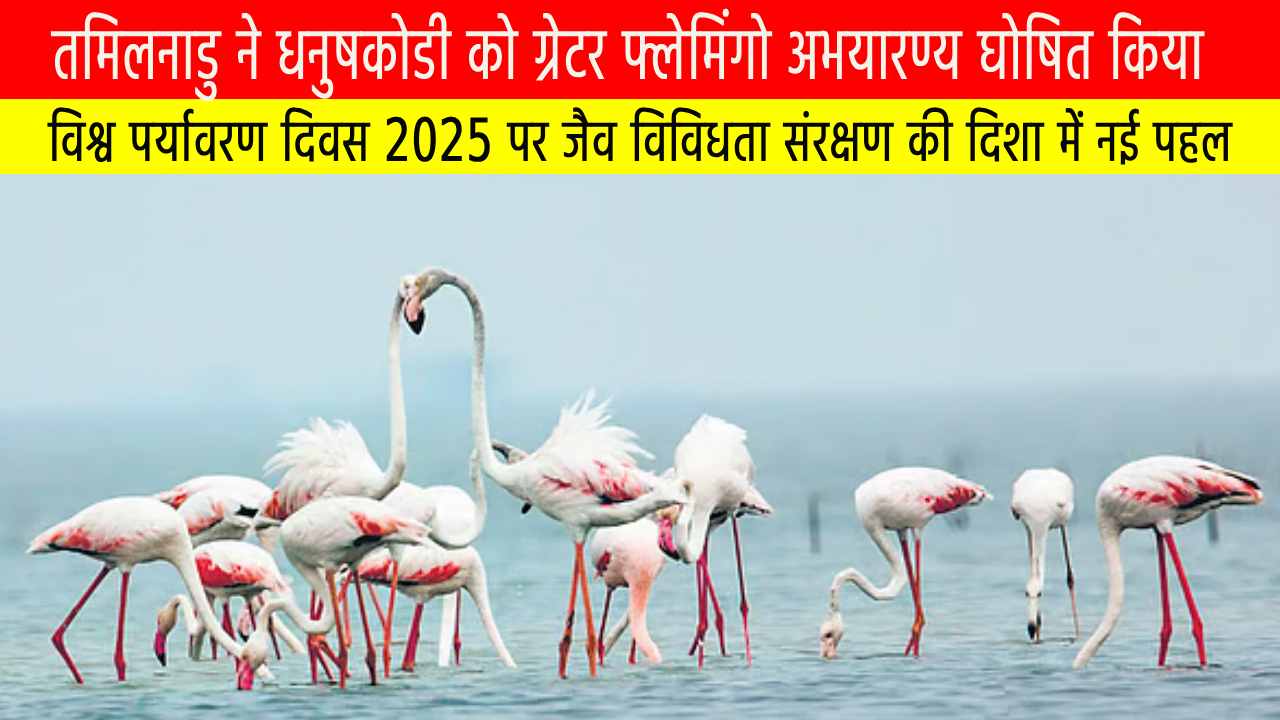 धनुषकोडी अभयारण्य