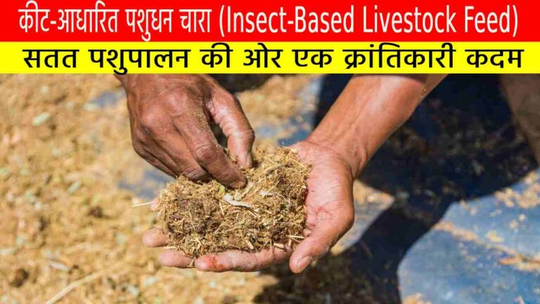 कीट-आधारित पशुधन चारा (Insect-Based Livestock Feed)