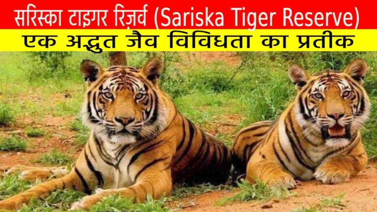 सरिस्का टाइगर रिज़र्व (Sariska Tiger Reserve)