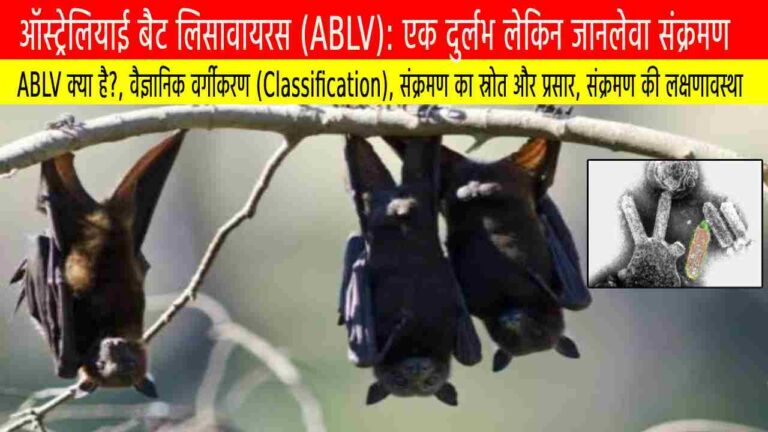 ऑस्ट्रेलियाई बैट लिसावायरस (ABLV): एक दुर्लभ लेकिन जानलेवा संक्रमण