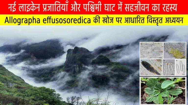 नई लाइकेन प्रजातियाँ और पश्चिमी घाट में सहजीवन का रहस्य