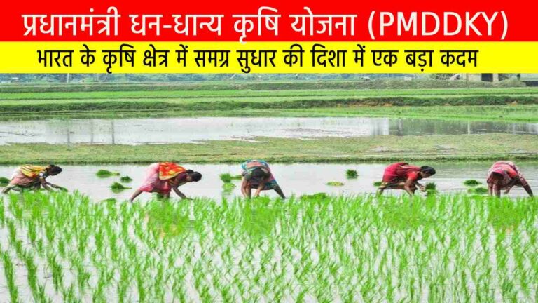 प्रधानमंत्री धन-धान्य कृषि योजना (PMDDKY)