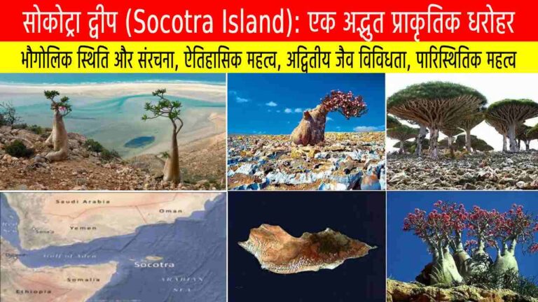 सोकोट्रा द्वीप (Socotra Island): एक अद्भुत प्राकृतिक धरोहर