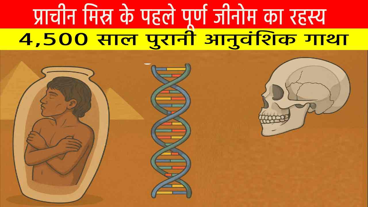 प्राचीन मिस्र के पहले पूर्ण जीनोम का रहस्य