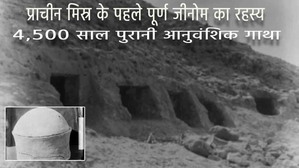 प्राचीन मिस्र के पहले पूर्ण जीनोम का रहस्य: 4,500 साल पुरानी आनुवंशिक गाथा प्राचीन मिस्र के पहले पूर्ण जीनोम का रहस्य | 4,500 साल पुरानी आनुवंशिक गाथा