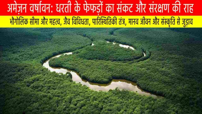 अमेज़न वर्षावन