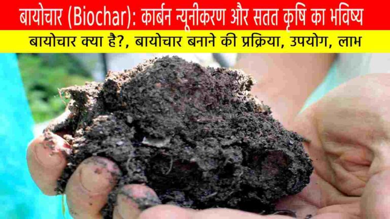 बायोचार (Biochar)