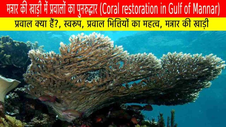 मन्नार की खाड़ी में प्रवालों का पुनरुद्धार (Coral restoration in Gulf of Mannar)