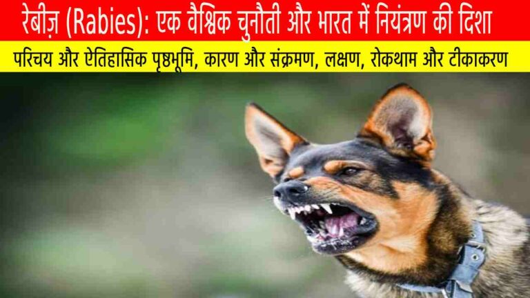 रेबीज़ (Rabies): एक वैश्विक चुनौती और भारत में नियंत्रण की दिशा