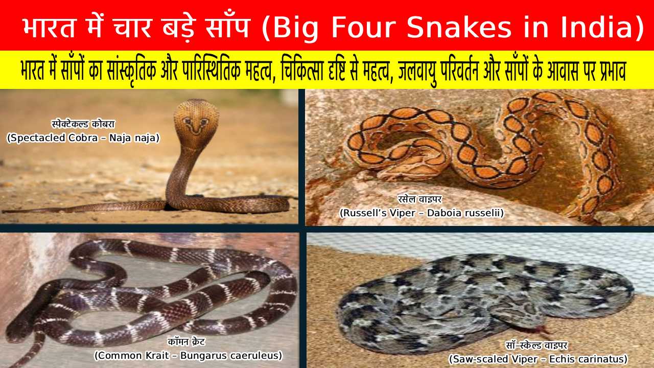 भारत में चार बड़े साँप (Big Four Snakes in India) और जलवायु परिवर्तन का खतरा