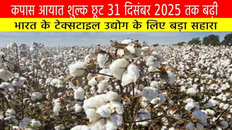 कपास आयात शुल्क छूट 31 दिसंबर 2025 तक बढ़ी | भारत के टेक्सटाइल उद्योग के लिए बड़ा सहारा