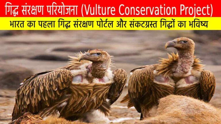 गिद्ध संरक्षण परियोजना : भारत का पहला गिद्ध संरक्षण पोर्टल और संकटग्रस्त गिद्धों का भविष्य
