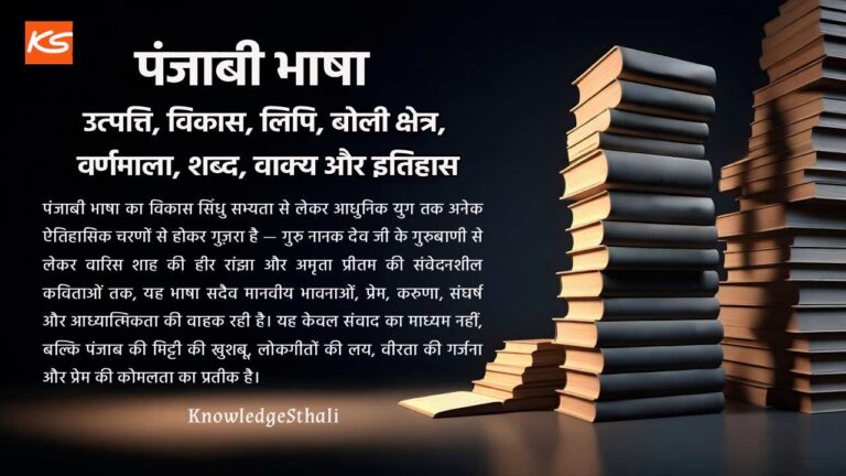 पंजाबी भाषा : उत्पत्ति, विकास, लिपि, बोली क्षेत्र, वर्णमाला, शब्द, वाक्य और इतिहास