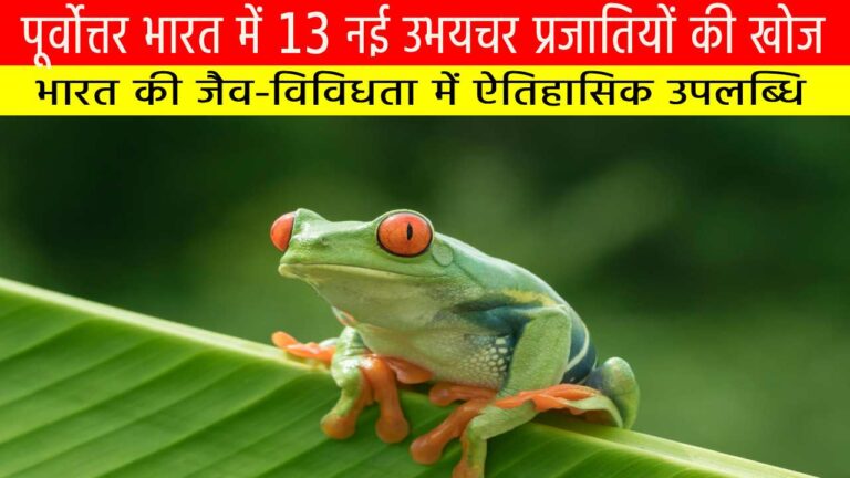 पूर्वोत्तर भारत में 13 नई उभयचर प्रजातियों की खोज: भारत की जैव-विविधता में ऐतिहासिक उपलब्धि