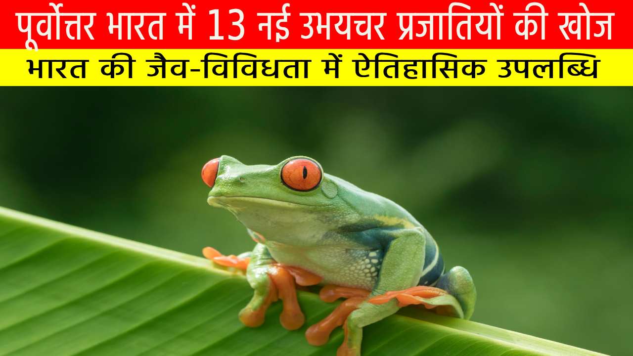 पूर्वोत्तर भारत में 13 नई उभयचर प्रजातियों की खोज: भारत की जैव-विविधता में ऐतिहासिक उपलब्धि