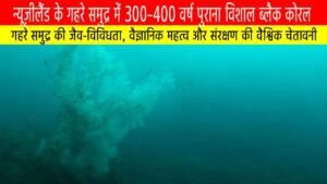 न्यूज़ीलैंड के गहरे समुद्र में 300–400 वर्ष पुराना विशाल ब्लैक कोरल