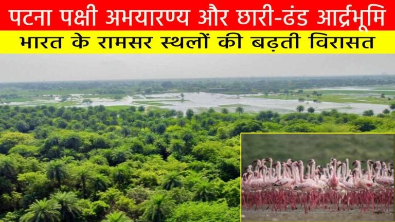 पटना पक्षी अभयारण्य और छारी-ढंड आर्द्रभूमि: भारत के रामसर स्थलों की बढ़ती विरासत