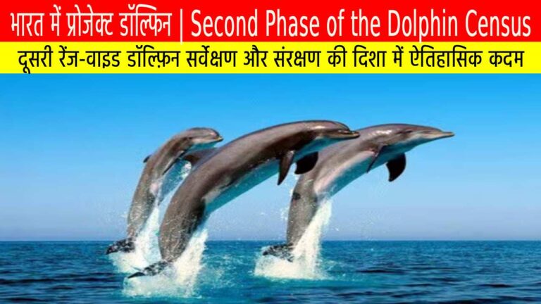 भारत में प्रोजेक्ट डॉल्फिन: दूसरी रेंज-वाइड डॉल्फ़िन सर्वेक्षण और संरक्षण की दिशा में ऐतिहासिक कदम