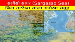 बिना तटरेखा वाला अनोखा समुद्र: सरगैसो सागर