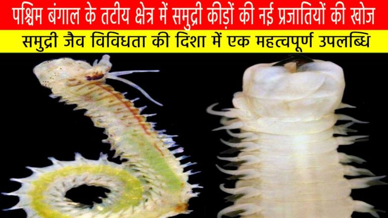 पश्चिम बंगाल के तटीय क्षेत्र में समुद्री कीड़ों की नई प्रजातियों की खोज: समुद्री जैव विविधता की दिशा में एक महत्वपूर्ण उपलब्धि