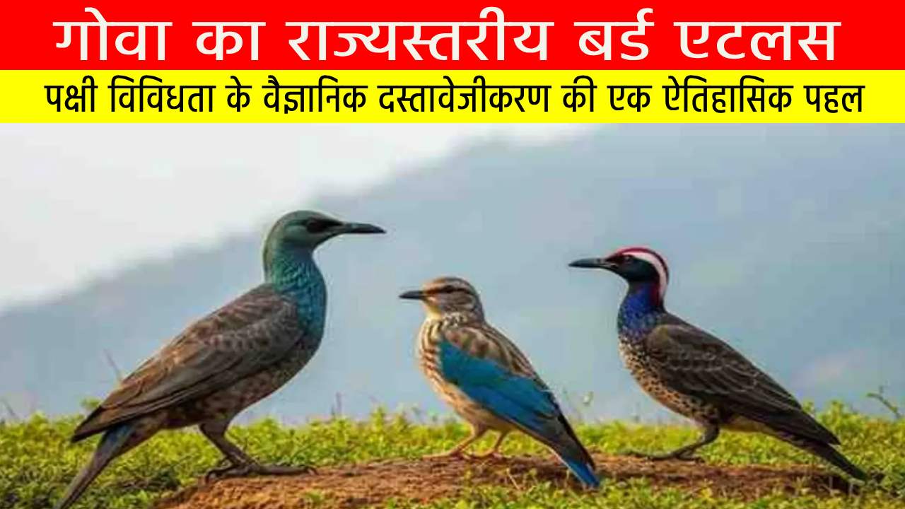 गोवा का राज्यस्तरीय बर्ड एटलस | State Level Bird Atlas of Goa